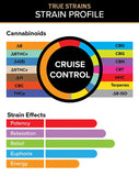 Cruise Control – True Strains – 2ml Vape Pod