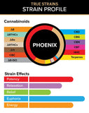 Phoenix – True Strains – 2ml Vape Pod