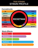 Rocketman – True Strains – 2ml Vape Pod
